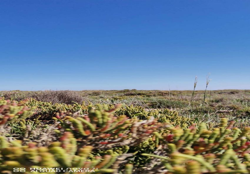 terrain À Vendre à SOUSSE - Terrain à vendre - Immobiliere.tn
