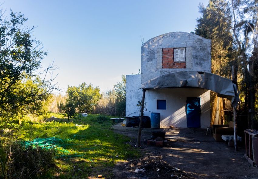 ferme À Vendre à NABEUL - 7 hectar à bou argoub el kharrouba nabeul - Immobiliere.tn - Photo 2