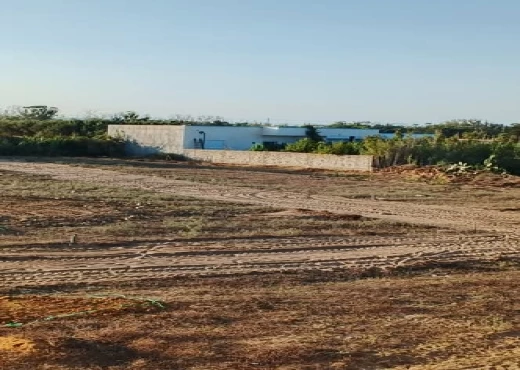terrain À Vendre à NABEUL - Offres exclusives  📢💎💦 - Immobiliere.tn
