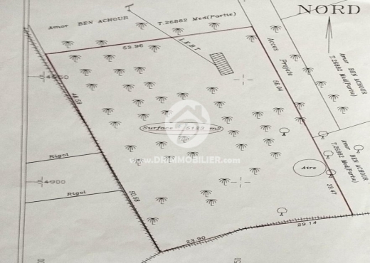 Terrain à vendre à Midoun Djerba