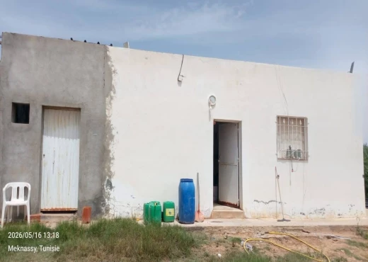terrain À Vendre à SIDI BOUZID - Ferme modèle à vendre - Immobiliere.tn - Photo 6