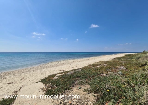 MAISON ROSETTE El Maamoura AV1533