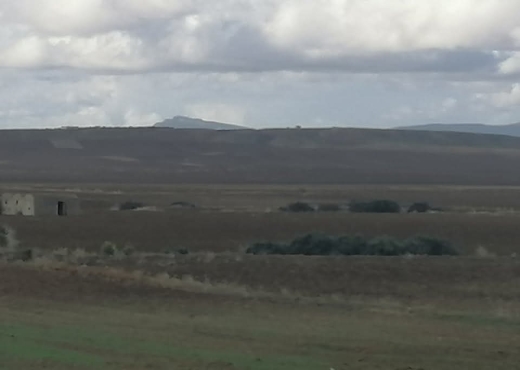 A Vendre Terrain Agricole