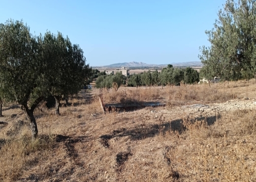 terrain agricole