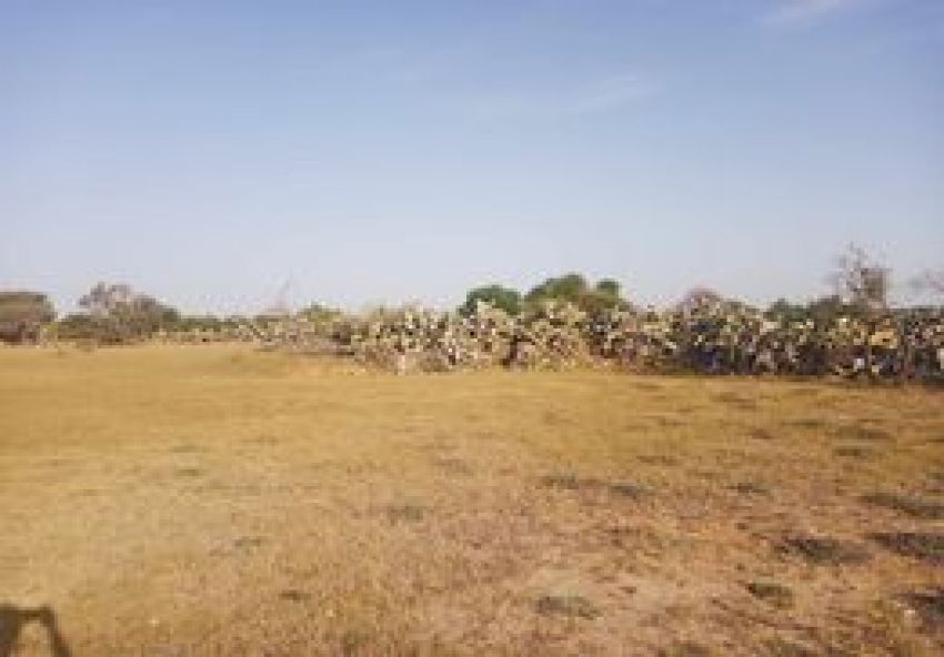 terrain À Vendre à MAHDIA - terrain agricole - Immobiliere.tn - Photo 7