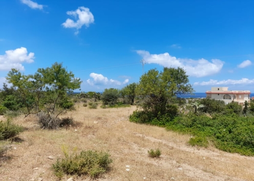 terrain À Vendre à BIZERTE - Terrain a raf raf  9300m² - Immobiliere.tn - Photo 5