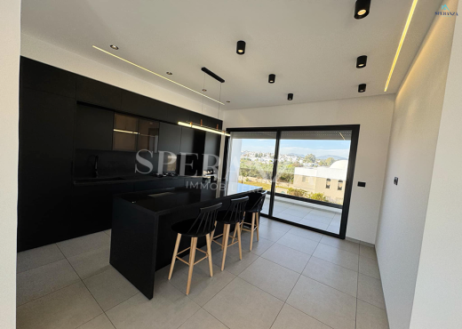 Vente Appartement Gapie S+3