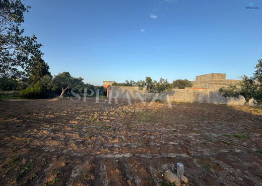 Vente Terrain Amell