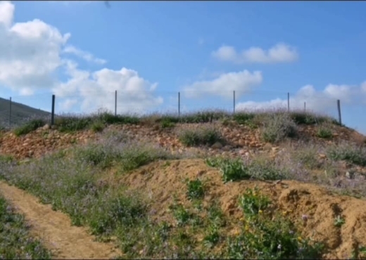 terrain