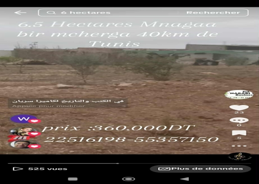 Ferme de 6h5 1 400 oliviers chemla