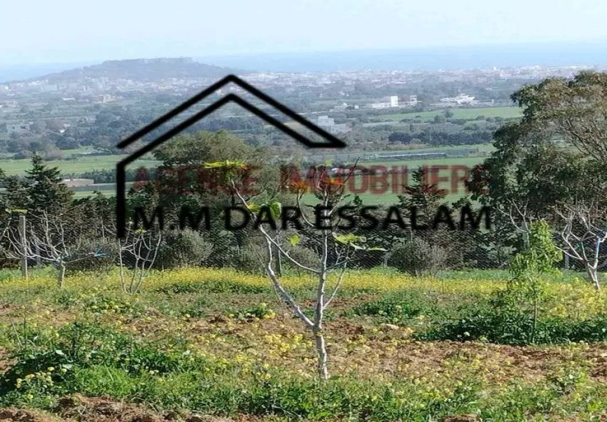 des lots de terrain près de la mer