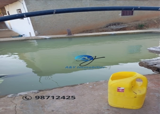 Grand terrain 6000 m² + 2 maisons à Béjou