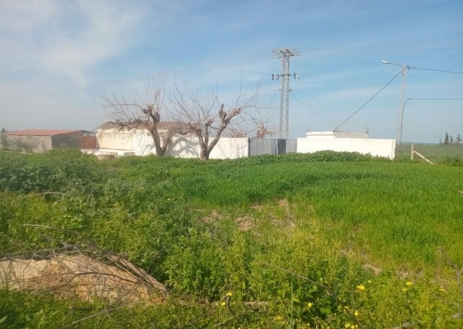 للبيع فيرمة لوز و زيتون و غلال أخرى