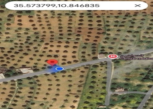 À vendre – Terrain agricole exceptionnel à Moknine