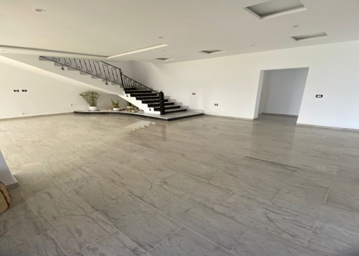 Pro-immobilière met en vente une villa S+4  à Monc