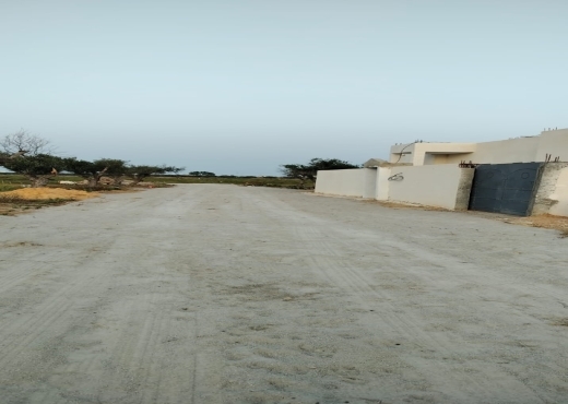اراضي في الحمامات الجنوبية ابتدأ من  150د ا المتر a vendre