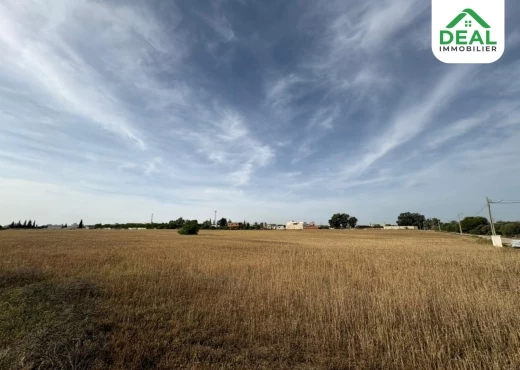 terrain À Vendre à SOUSSE - Lotissement de 6 hectare et demi à Kroussia - Immobiliere.tn - Photo 6