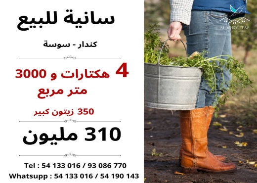 A Vendre Terrain Agricole à Kindar