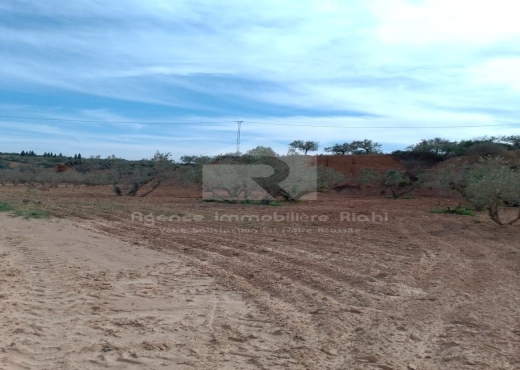 Vendre des terrains agricoles