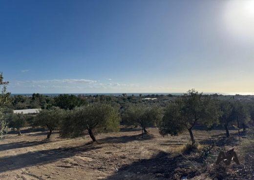 Terrain à vendre vue de mer