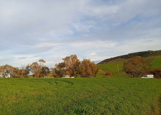 🔥 PRIX FORCA – TERRAIN À VENDRE À RAS EL JEBEL 🔥