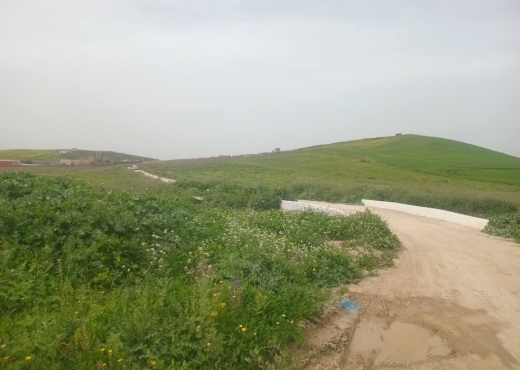 للبيع قطع أرض في سيدي ثابت-شرفش