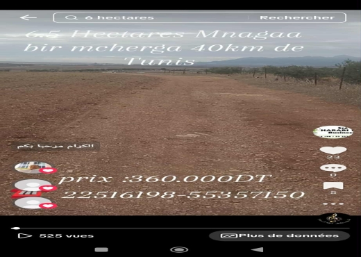 Ferme de 6h5 1 400 oliviers chemla