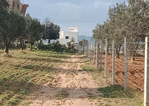 AV terrain cote plage klm71 hamammet sud