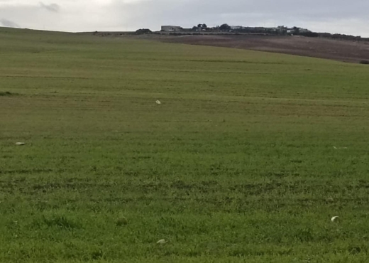 30 hectares pour  a tous les arbre