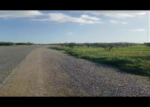 terrain À Vendre à ZAGHOUAN - TERRAIN AGRICOLE A VENDRE - Immobiliere.tn - Photo 7