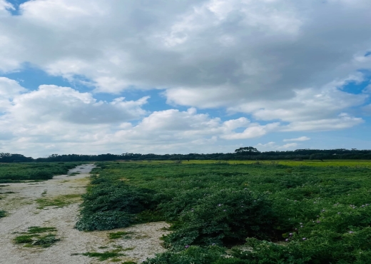 terrain À Vendre à NABEUL - A Vendre Terrain à Kerkouene Kelib - Immobiliere.tn - Photo 3