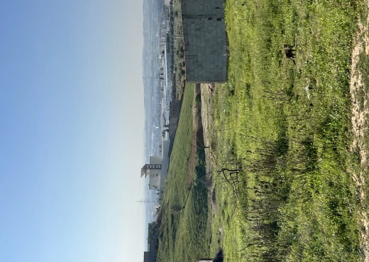 terrain À Vendre à MANOUBA - Terrains à vendre à Oued Ellil, Ci - Immobiliere.tn