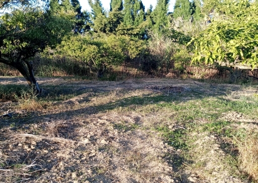 Terrain agricole de 1005 m² à Ras Jebel