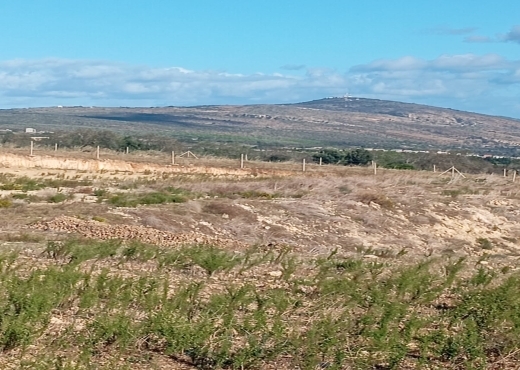À vendre : Terrain agricole à Béjou