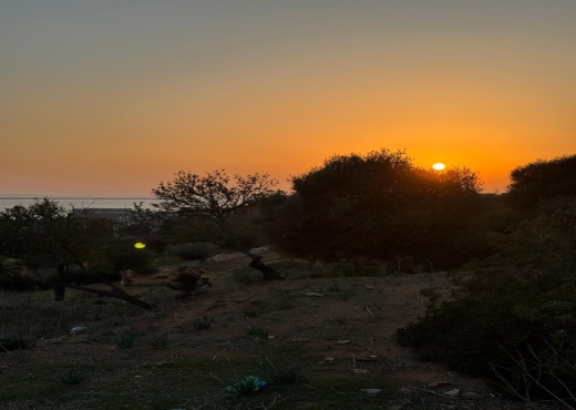 terrain À Vendre à BIZERTE - Terrain de 250m² avec vue sur mer - Immobiliere.tn - Photo 6