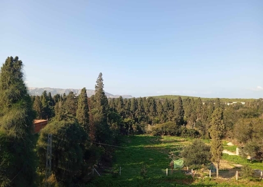 Une ferme  à Ras Jebel – Bizerte 🌾