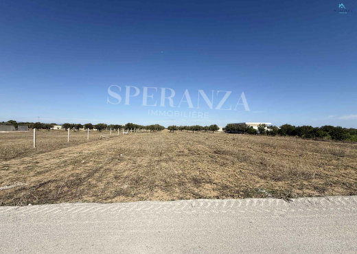 Vente Terrain Loukas