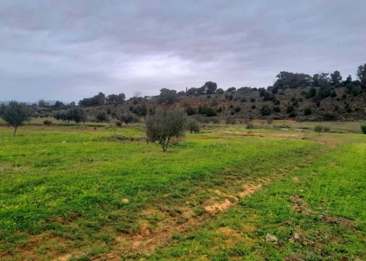 Terrain agricole à vendre