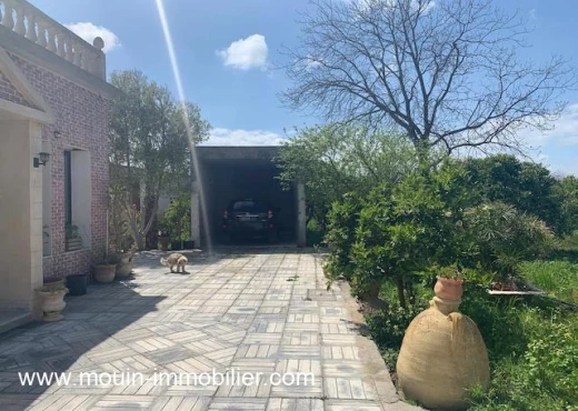 ferme À Vendre à NABEUL - Ferme Oliva T1230 Hammamet - Immobiliere.tn