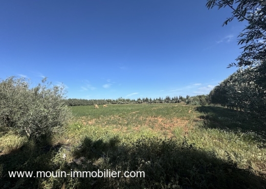 FERME LES EMERAUDES Somaa T1137