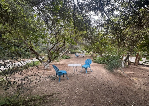 À VENDRE – Maison d’Hôtes