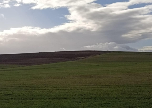 30 hectares pour  a tous les arbre