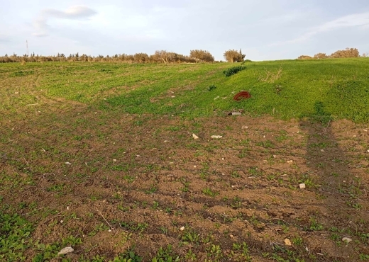 🌿 Terrain à vendre à Ras El Jebel – Bizerte 🌿