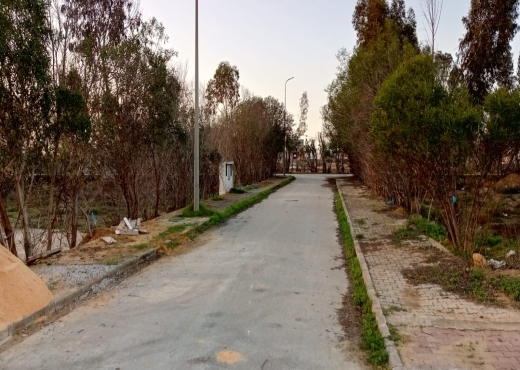 terrain À Vendre à ARIANA - à vendre à lotissement les flamants roses - Immobiliere.tn - Photo 11