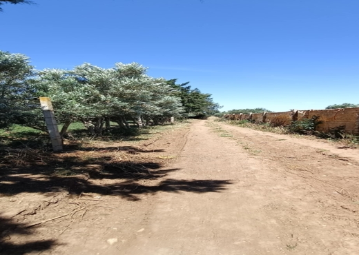 terrain agricole