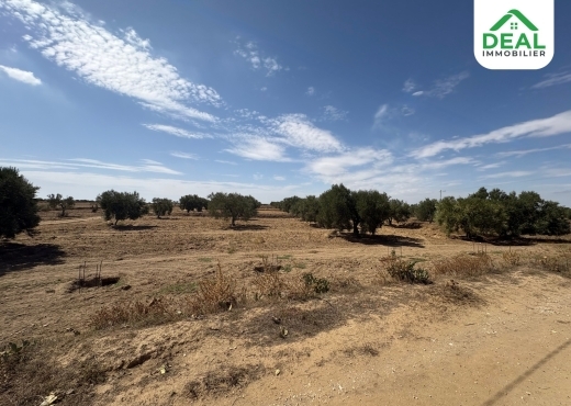 A vendre Ferme Olivier à Msaken