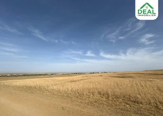 terrain À Vendre à SOUSSE - هنشير فلاحي يقع جهة كروسيا - Immobiliere.tn