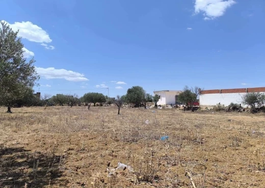 terrain À Vendre à MONASTIR - un terrain agricole - Immobiliere.tn - Photo 7
