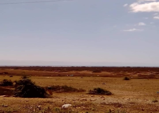 AV terrain elkhomssa hamammet sud