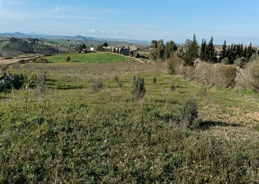 terrain À Vendre à ZAGHOUAN - TERRAIN AGRICOLE A VENDRE - Immobiliere.tn